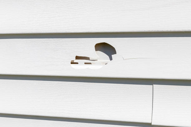 Historical Building Siding Restoration in Canton, GA