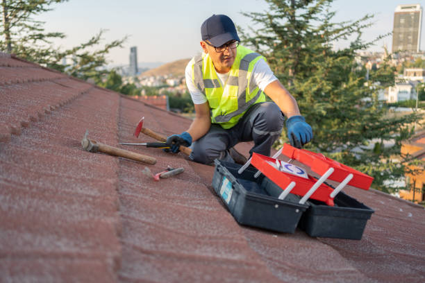 Best Storm Damage Siding Repair  in Canton, GA